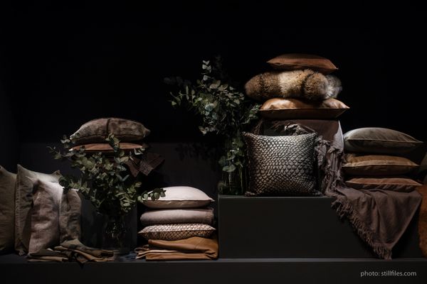 1701_CGN_imm_dmzio_09554