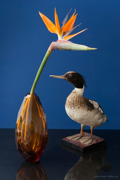 1606_HAM_ARCADE_9208