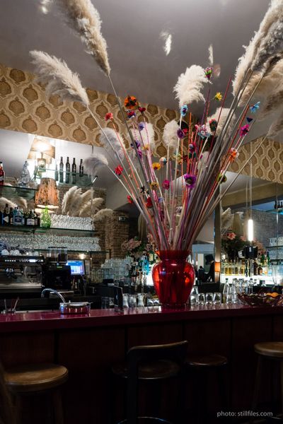 1701_CGN_imm_dmzio_09850