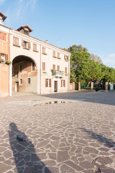 1910_ITA_VCE_biennale_2019_dmzio_03394