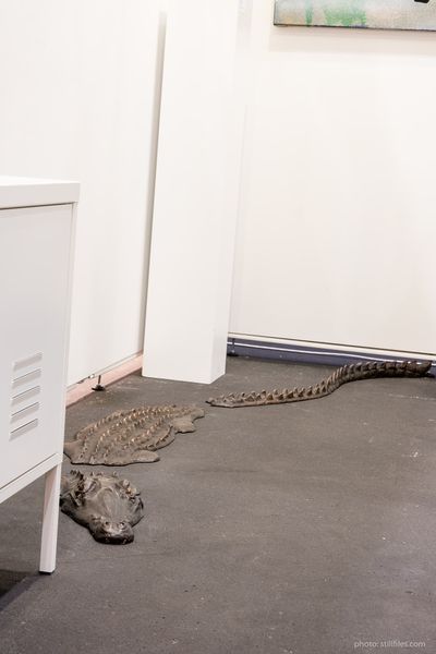 181114_HAM_aaf_dmzio_1002