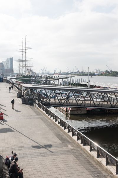 1806_HAM_040x040_dmzio_087