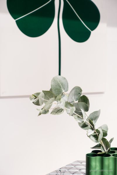 1701_CGN_imm_dmzio_09594