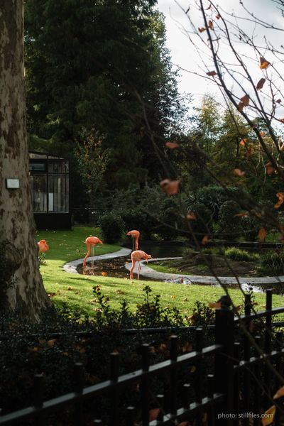 1710_EIN_dutchdesignweek_2017_dmzio_07876