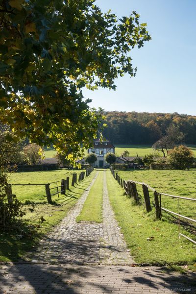 1710_HAJ_hall_art_foundation_derneburg_dmzio_12