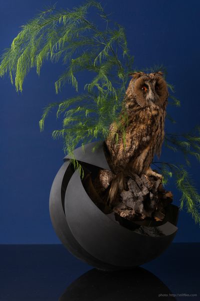 1606_HAM_ARCADE_9231