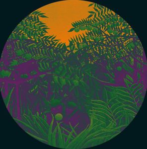 SIMPLE SYMMETRY - A1. Apes In The Orange Groove (Original Mix)