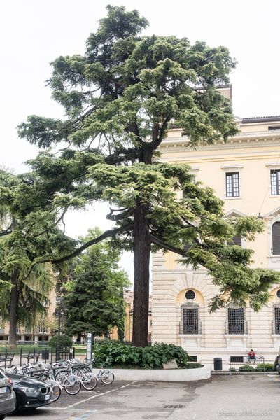 1904_HAM_milandesignweek_dmzio_09664