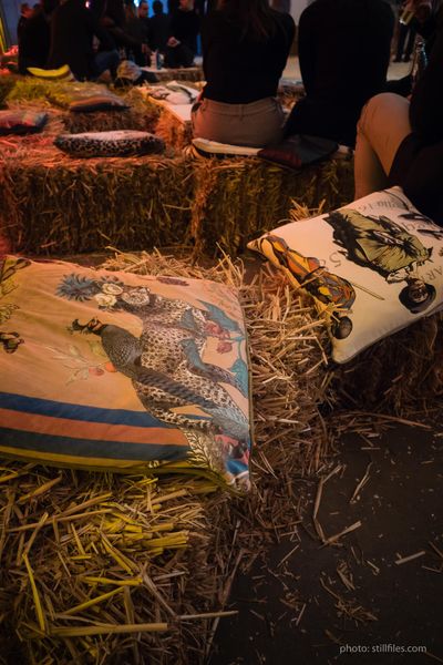 2001_CGN_imm_cologne_2020_dmzio_05358