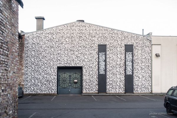 1701_CGN_imm_dmzio_09682