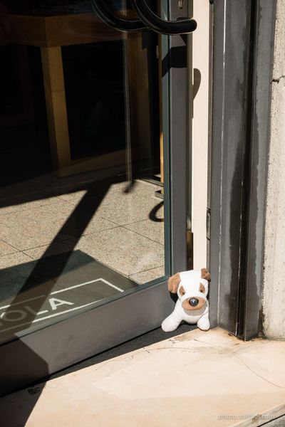 1704_MXP_milandesignweek_s_dmzio_01122