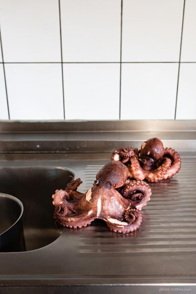 2006_HAM_Frfalle_7779