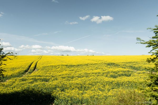 1705_MMX_040x040_dmzio_002