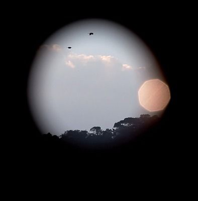 Juliana Perdigão - 12 Que Bom