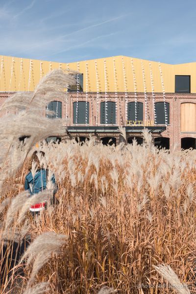 1610_BRU_kortrijk16_dmzio_07227