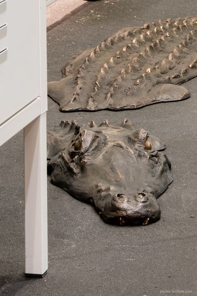 181114_HAM_aaf_dmzio_1002-3