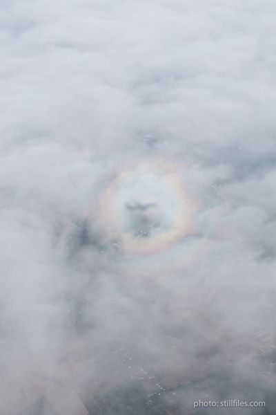 1610_BRU_kortrijk16_dmzio_07393