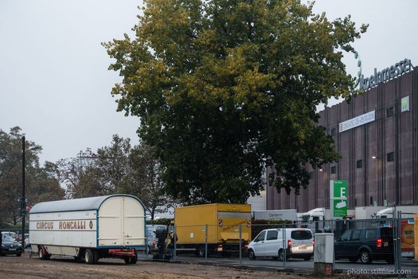 1610_CNG_orgatec16_dmzio_07490