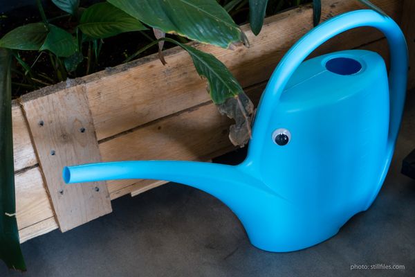 1609_HAM_040x040_dmzio_05810