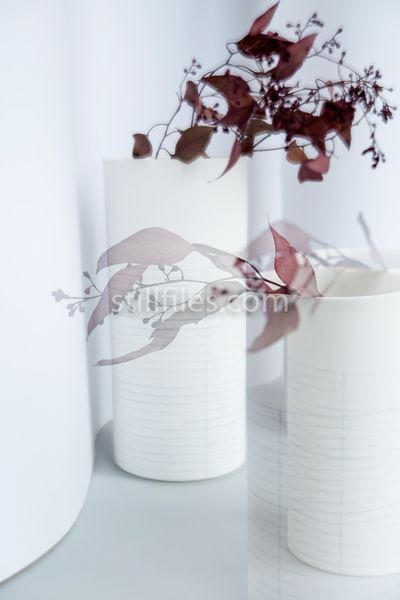 1902_HAM_CVasen_8664