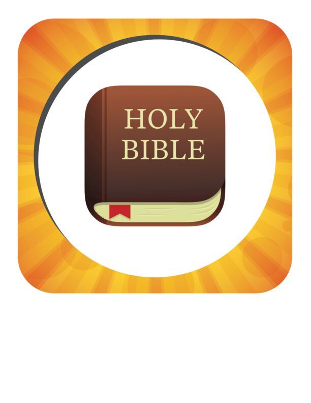 BA_Unit17_StonesSlingsAndGiantThings_PicturePass_Bible