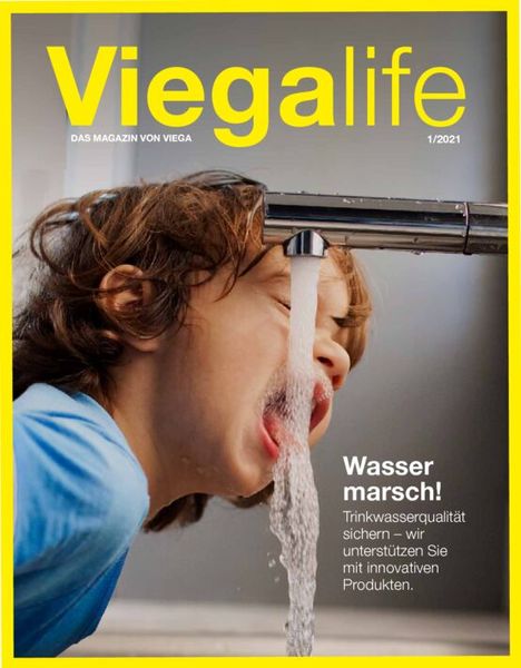 201111_ViegaLife_Print