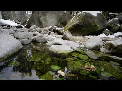 Leaves on a Stream Meditation