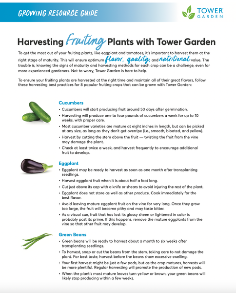 16- Harvesting Fruiting Plants