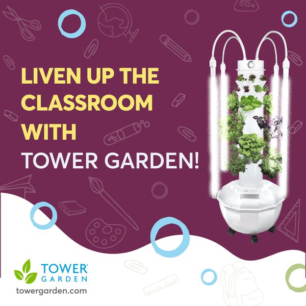 240513241_988094281761427_801185924940259438_n