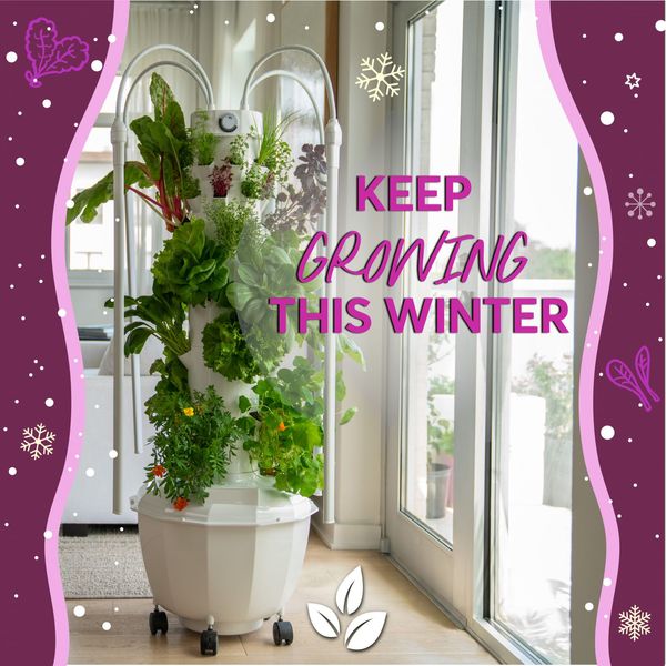 Keep Growing this Winter