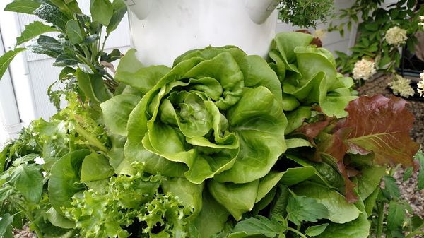 IMG_20150823_162757688