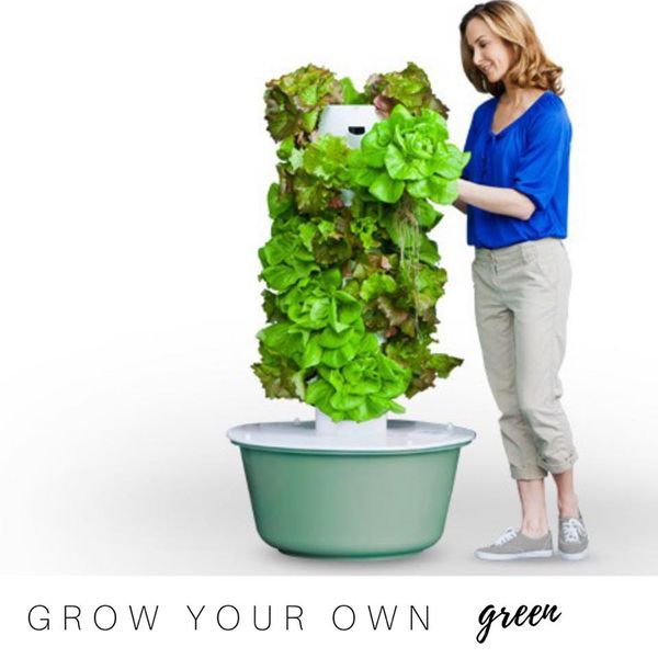 16003300_10155634321329428_954550906081662621_n