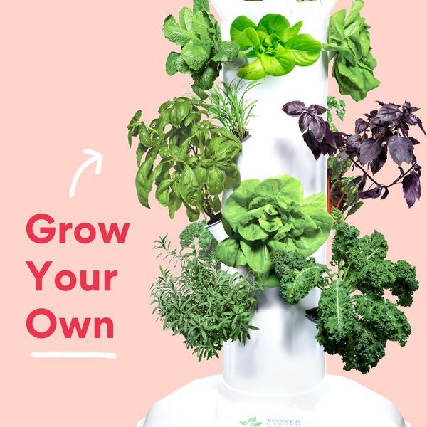 119651385_10163999099955099_8596206366941680212_o