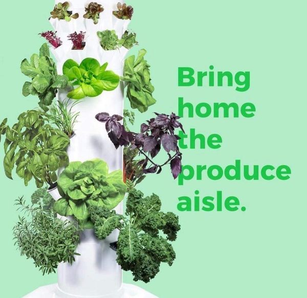 149258181_775454733387706_6090892791419714083_n