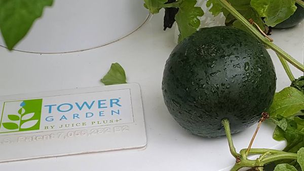 20799266_10207435999258376_3470005443080372143_n