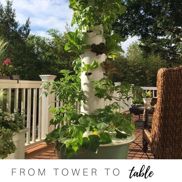 15977219_10155634436139428_5008138832886680551_n