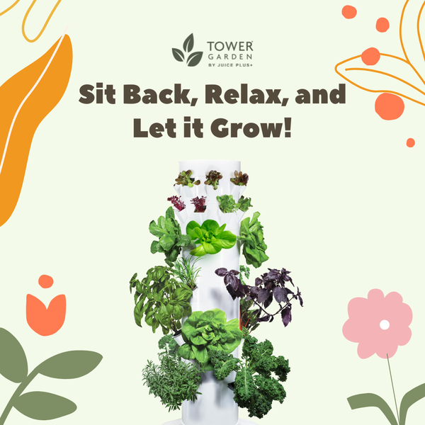 191996285_935731110331078_1437733736965806574_n