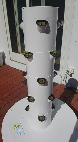 18446761_10206845786743432_6036655359768531802_n