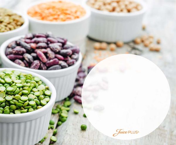 Soup-in-a-Jar_BLANK_logo-01