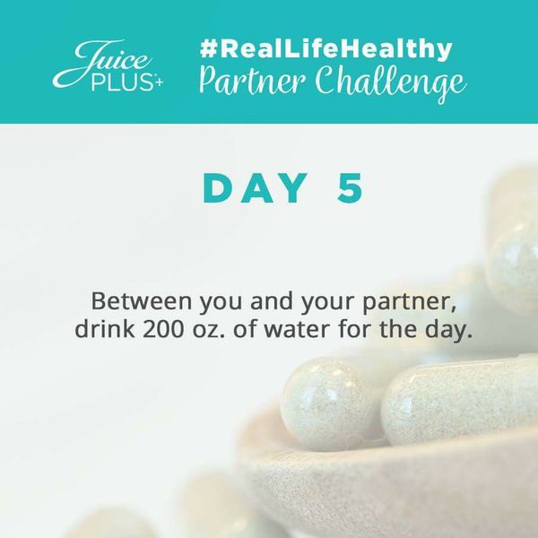 27460057_775975625928900_4298931929667622851_n