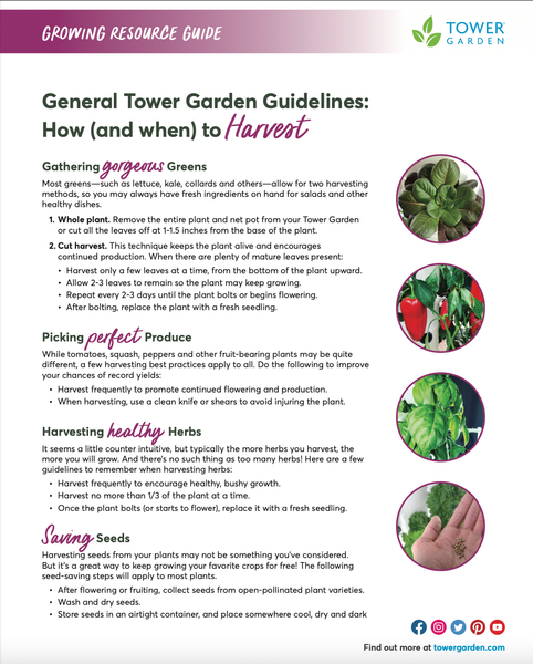 2- Guidelines and Harvest