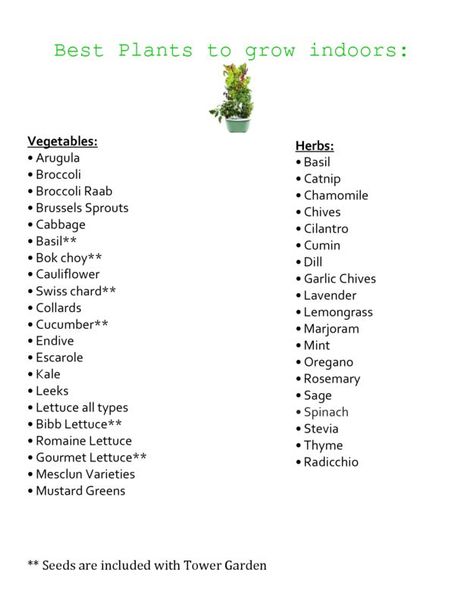 Best Plants to grow indoors