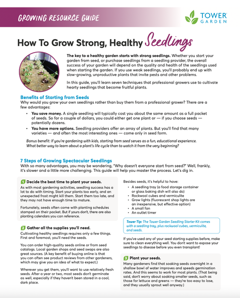 7- How To Grow Healthy Seedlings