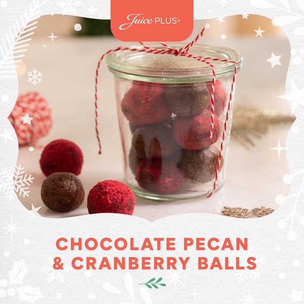 Chocolate Pecan  Cranberry Balls - Square - English