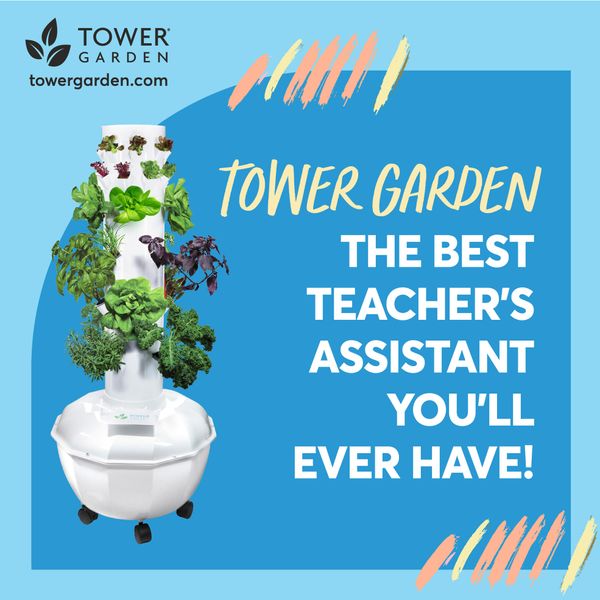 240505506_988094295094759_487331268041508081_n