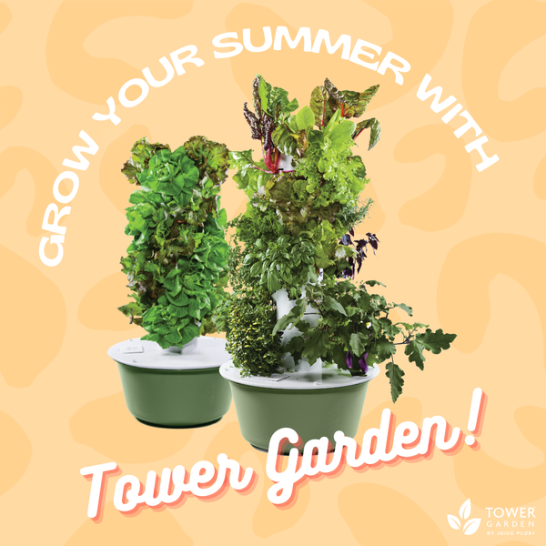 191747114_935731150331074_4752690726108072047_n