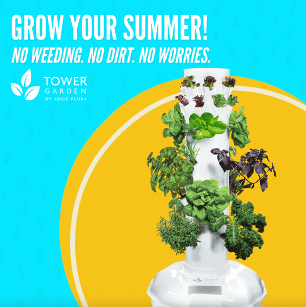 Screen Shot 2021-06-06 at 12.03.44 PM