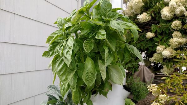 IMG_20150823_162804289