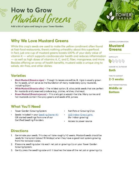 Mustard Greens Plant Guide