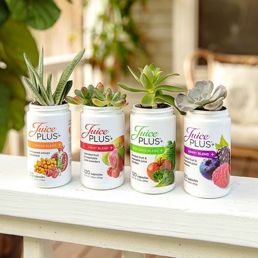 120106029_10164040916590099_7579830186164610751_o